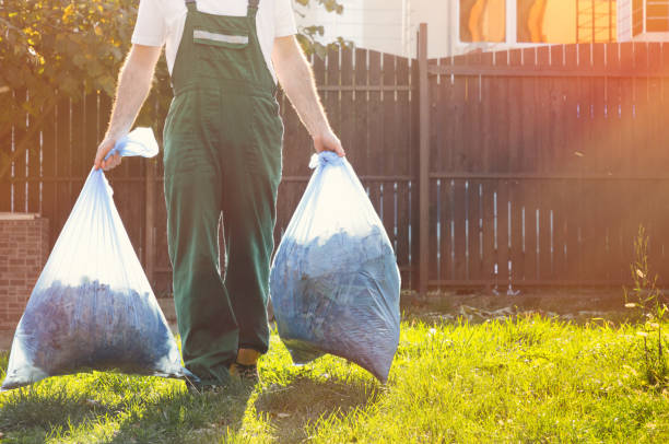 Best Recycling Services for Junk  in Blountsville, AL