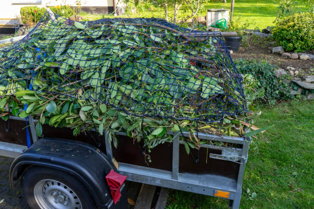 Best Commercial Junk Removal  in Blountsville, AL